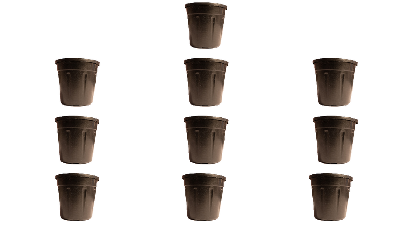 4 Inch Plastic Plant Pot Black